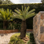 MF9A9067 (1) MF9A9067 (1)